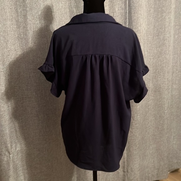 PLEIONE Blue Semi Sheer Button Down Blouse Size Medium - Picture 4 of 5